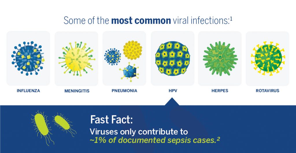 19_Sepsis-Viral-Callouts-V2-02-1024x529.